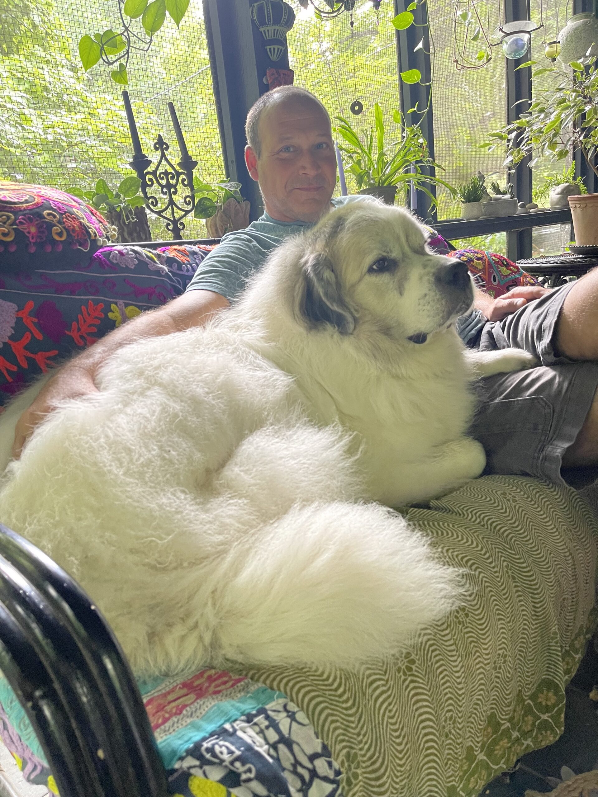 A man sits on a couch with a large, fluffy white dog lying beside him in a sunlit room filled with plants.